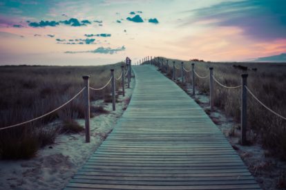 What are ‘idea pathways’?