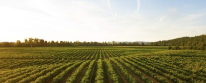 CSIRO’s Innovate to Grow program now open
