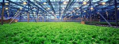 How the new ISO Innovation Management Standards can support Australian Agribusiness.