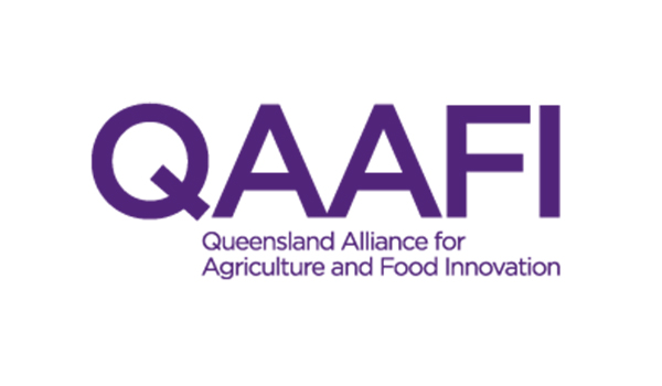 Qaafi Logo