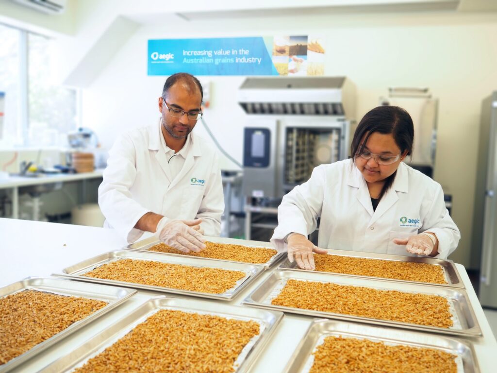 AEGIC oat processing for noodles and rice